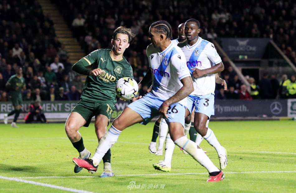 他的多样化 他的多样化